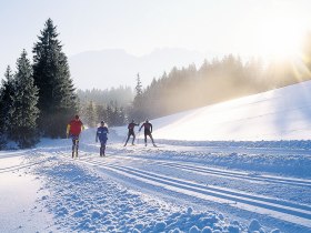 Langlaufen in Mitterbach am Erlaufsee, &copy; Fred Lindmoser