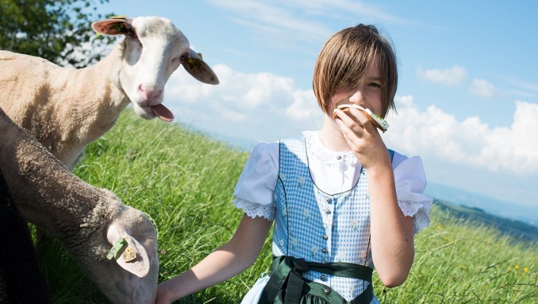 Franzenreith farmhouse, © dphoto.at