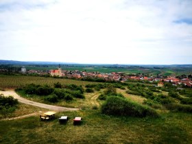 Die Veltlinerhochburg R&ouml;schitz beheimatet viele renommierte Winzerfamilien, &copy; Weinstra&szlig;e Weinviertel West