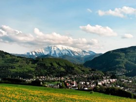 MTB Mostviertel Scheibbs, © Mostviertel