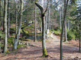 Luaga Lucka Weg, &copy; Wagner, Waldsoft