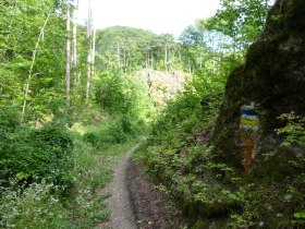 Kurz vor Eichgraben, &copy; Wienerwald