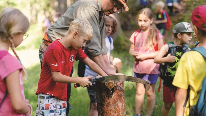 Kotouče na řez&aacute;n&iacute; stromů, &copy; Wunderwelt Wald, Fotograf Benjamin Wald