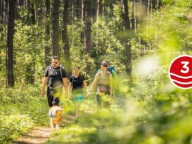 F&ouml;hrenwaldrunde 3, &copy; Wiener Alpen in Nieder&ouml;sterreich - Schneeberg Hohe Wand
