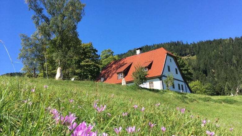 Vacation cottage Hinterbreiteneben, © Johannes Hoyos