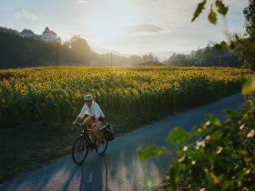 Vorbei an der Burg Feistritz, &copy; Wiener Alpen in Nieder&ouml;sterreich