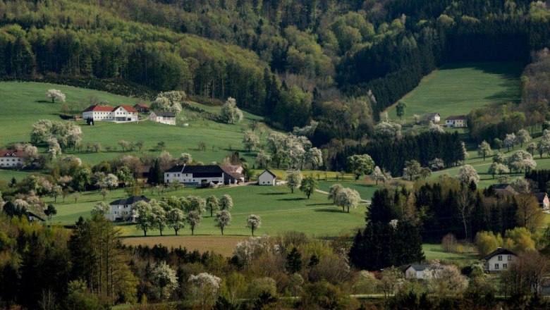 Photo point Kematen, © schwarz-koenig.at