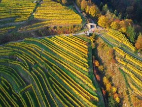 Rotes Tor, &copy; Markus Haslinger