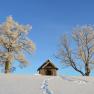Bright blue sky in winter, &copy; Gottfried & Rosina Wagner