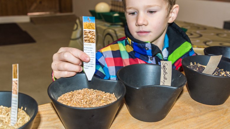 Určen&iacute; zrna, &copy; Otto Brandl