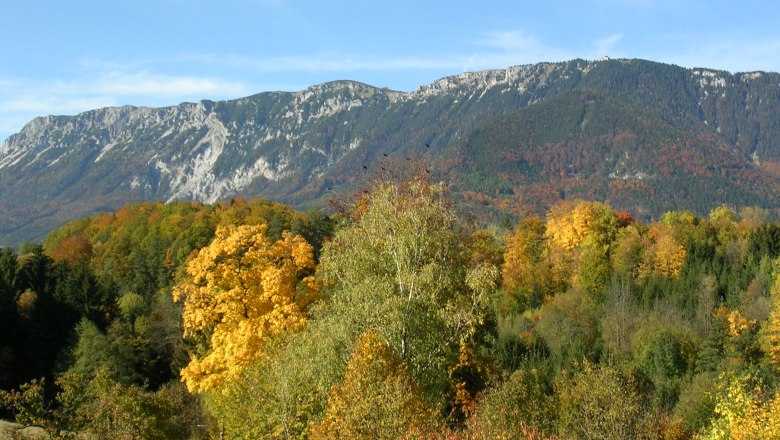 View from the Raxblick seminar room, © Daniel Fischer