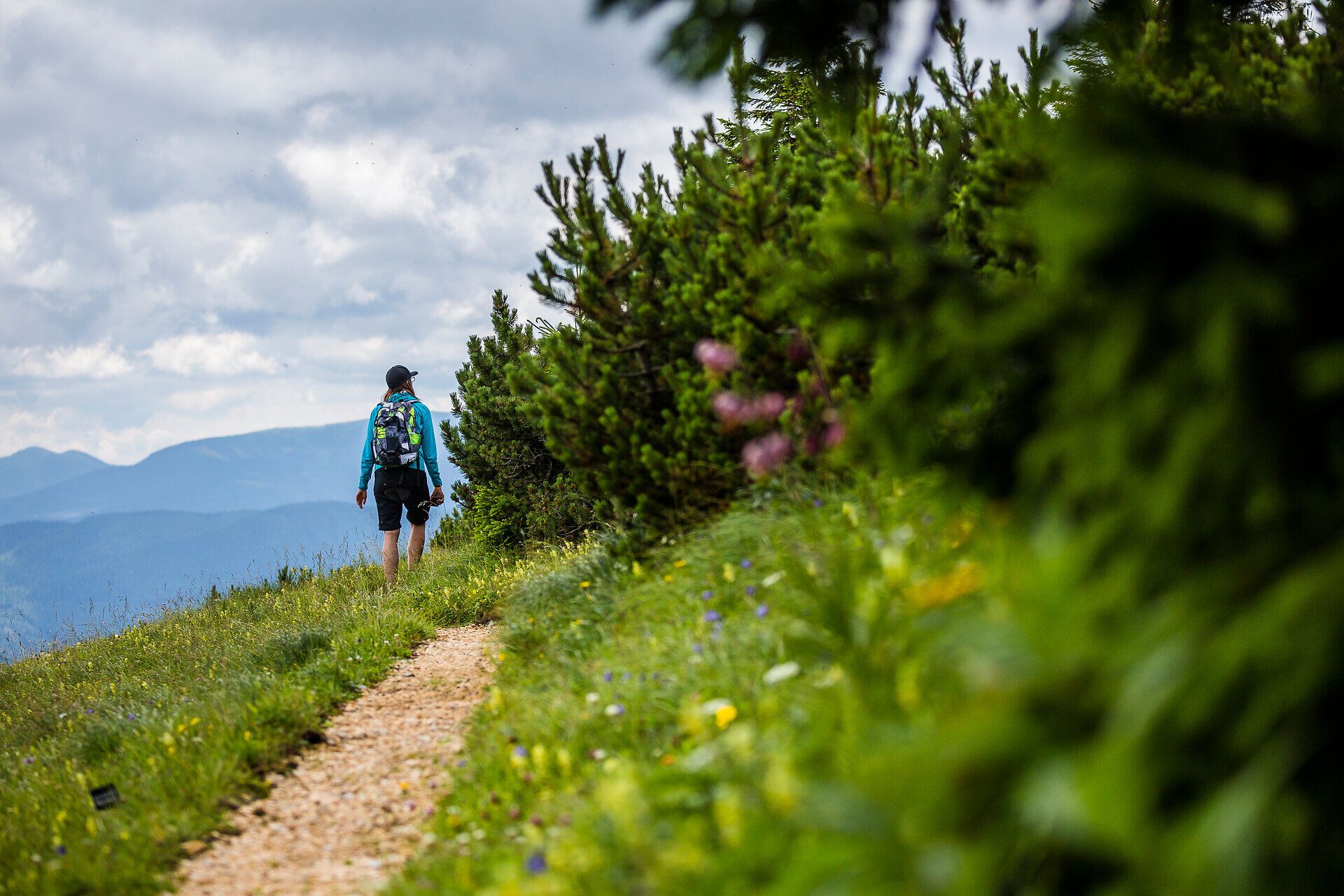 Turista si užívá čerstvého horského vzduchu a úchvatného výhledu na okolní kopce a louky. Barevné divoké květiny a jemné šumění stromů vytvářejí harmonickou atmosféru, která vybízí k setrvání.