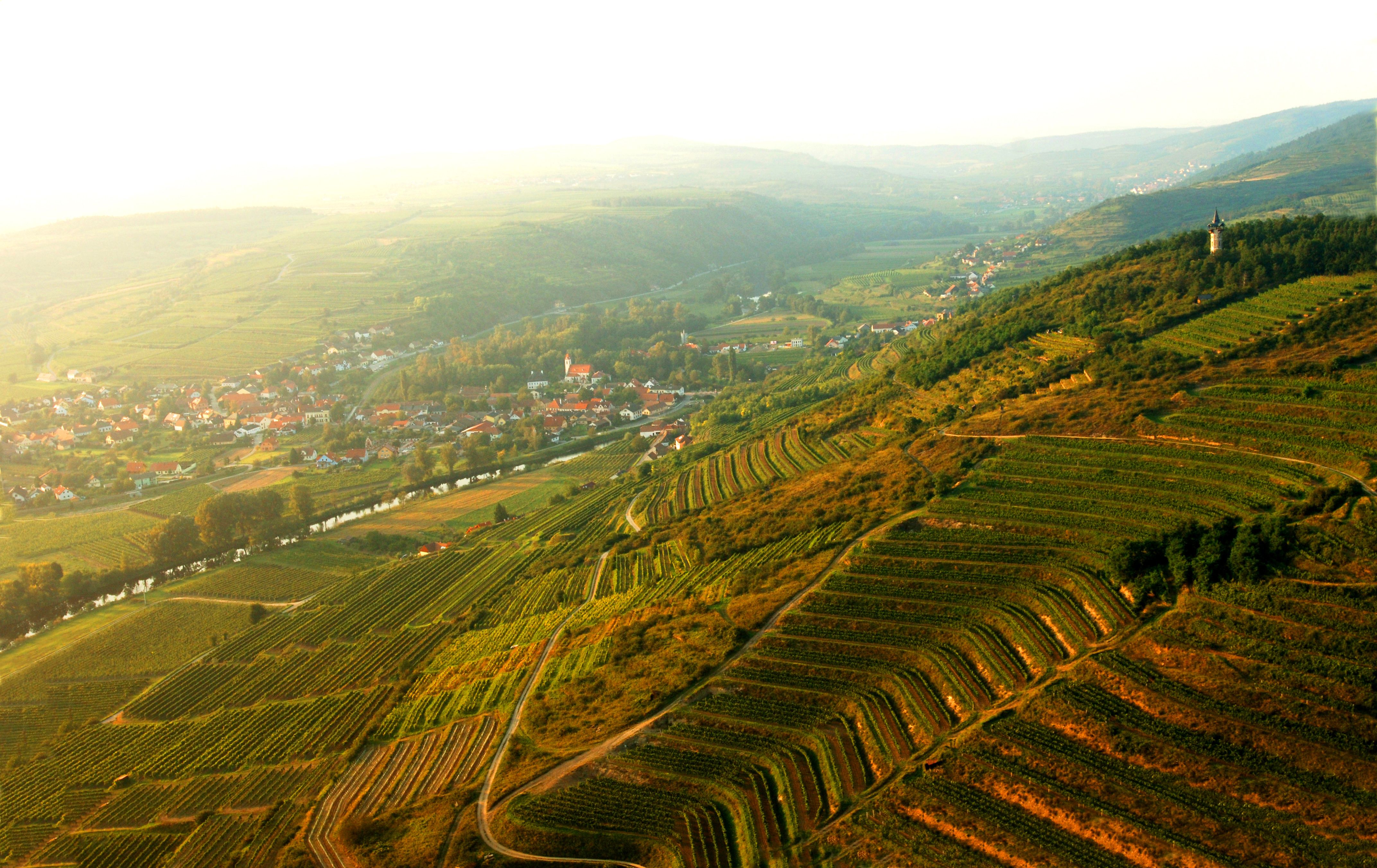 Letecký pohled na Langenlois s vinicemi a vesnicí v pozadí.