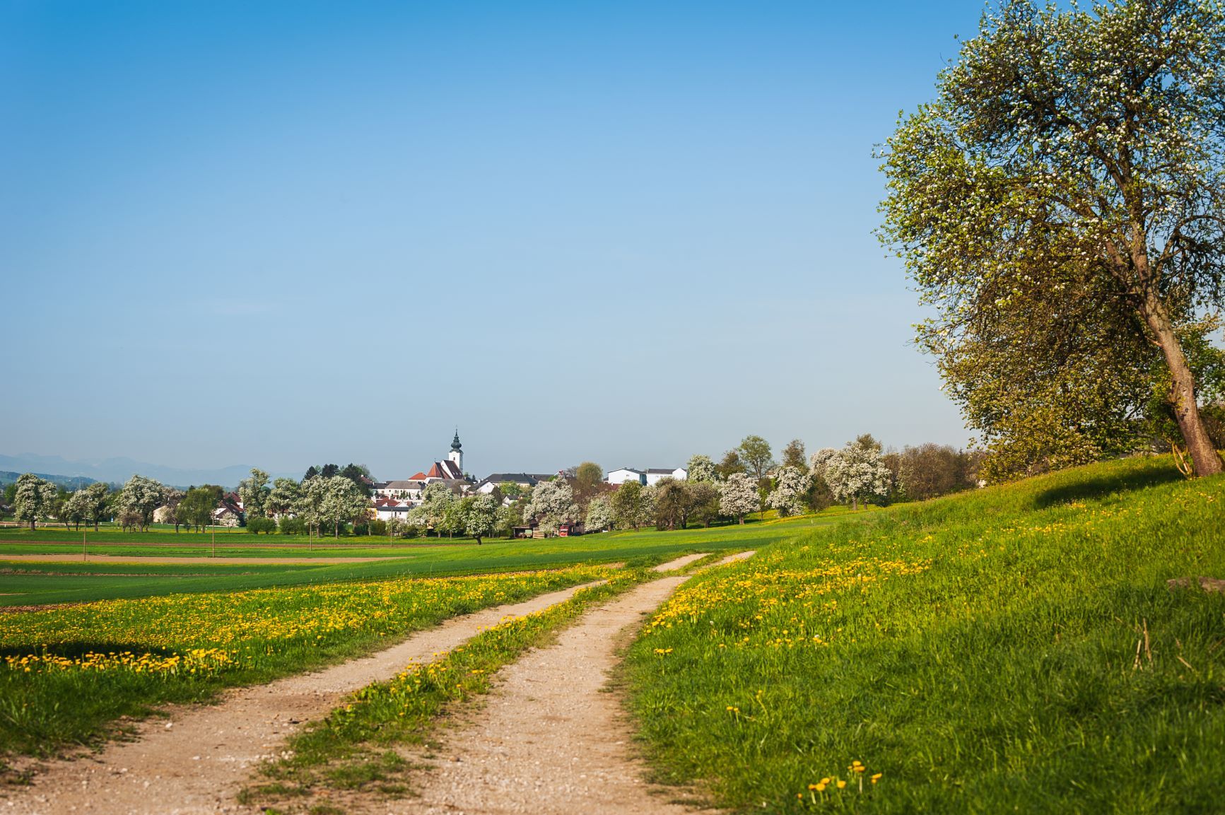 St. Georgen/Ybbsfelde