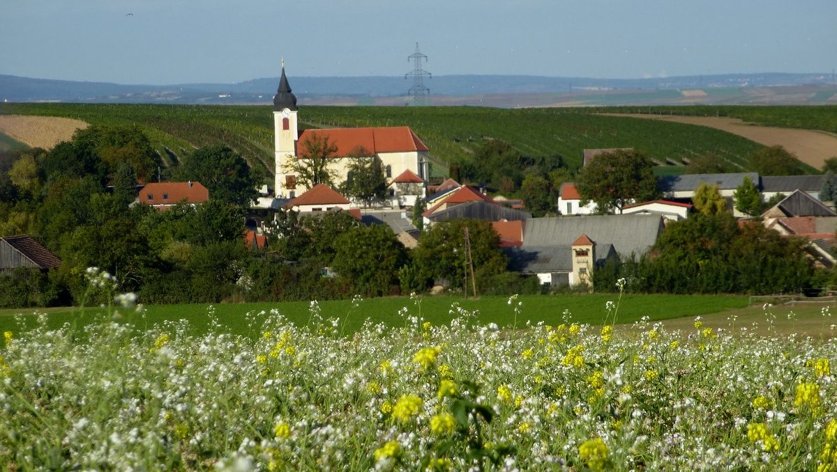Pohled na vesnici s kostelem a červenými střechami, obklopenou zelenými poli a kopci.