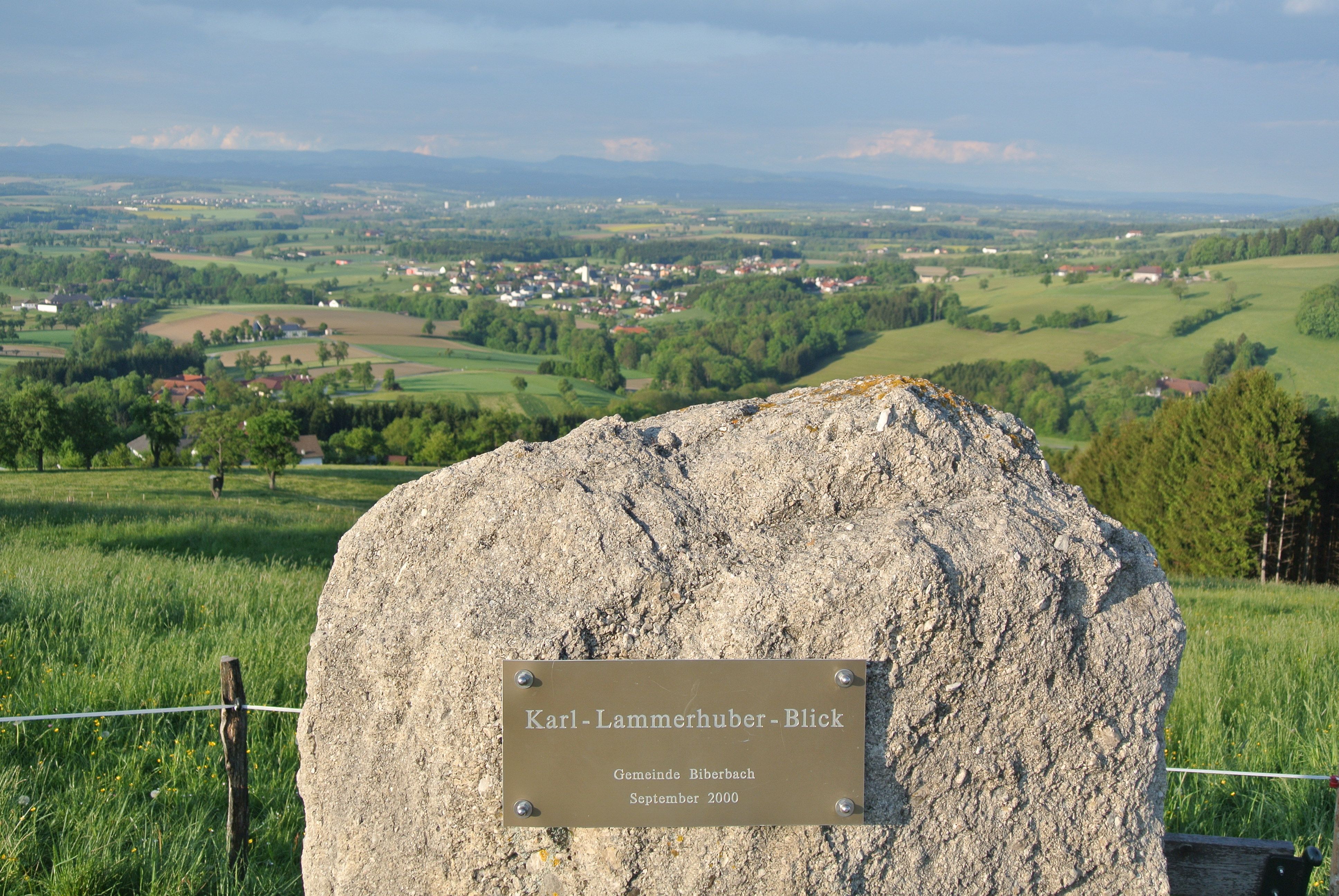 Karl_Lammerhuber_View