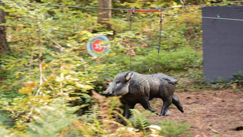 A "running" wild boar must also be hit, © Ludwig Fahrnberger