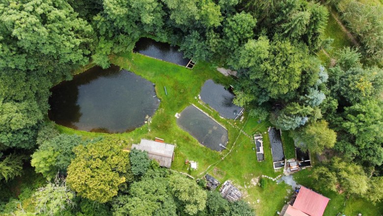Kornfeld fishing and angling ponds, © Herbert Kornfeld