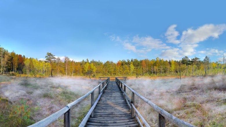 Prügelsteg im Heidenreichsteiner Moor, © Horst Dolak