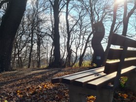 Nani Au im Winter, Marchegg, © Donau Niederösterreich - Tourismusbüro Carnuntum-Marchfeld