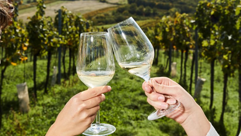 Toasting in the vineyard, © Weinviertel Tourismus / Michael Liebert