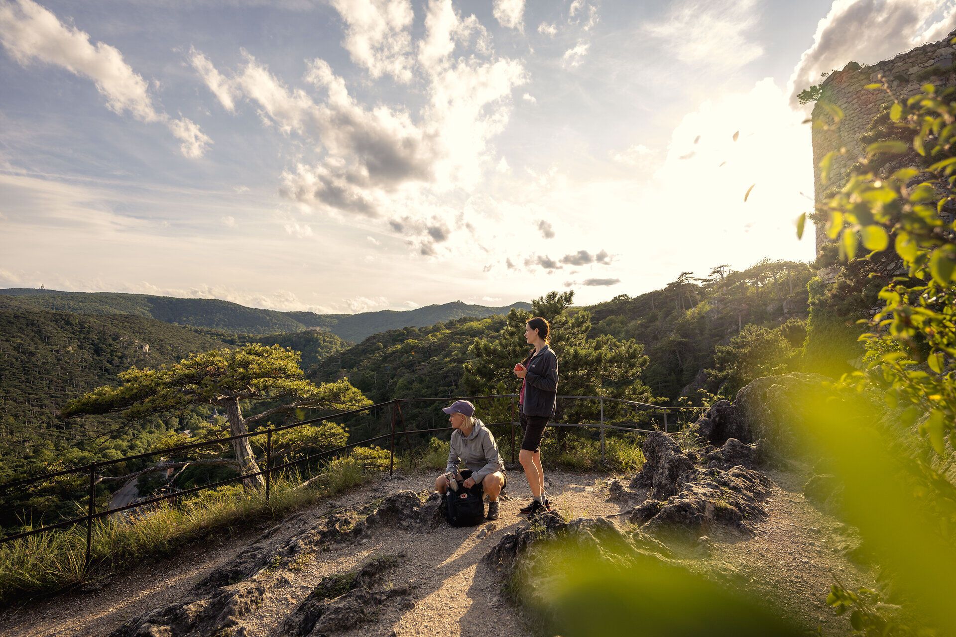 V pozadí se majestátně táhnou kopce Vídeňského lesa a turisty objímají hřejivé sluneční paprsky. Toto místo, obklopené voňavými borovicemi a uklidňujícím šuměním přírody, vybízí k odpočinku a užívání si úchvatného výhledu.