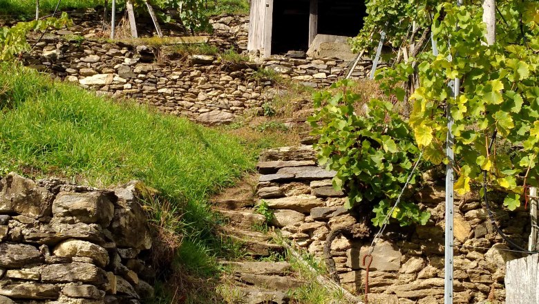 On the Spitzer Graben panoramic trail, © Donau NÖ: Heidi Schauer-Leberzipf
