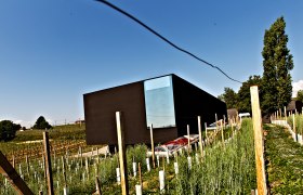 Moderní architektura v Kamptalském vinohradu od Freda Loimera, © zVg Weingut Fred Loimer