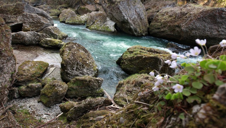 Soutěska Erlaufschlucht Purgstall, © weinfranz.at
