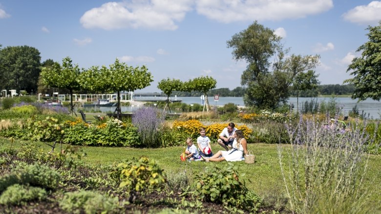 Picnic on the banks of the Danube, © Stadtgemeinde Tulln/Robert Herbst