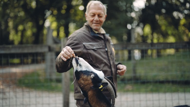 City of Haag Zoo, &copy; Moststra&szlig;e, dochbodnliacht