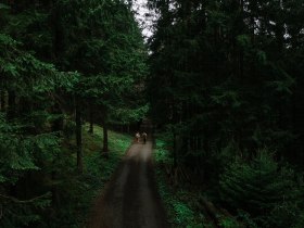 Lebensweg, Wandern, Weitwandern, © Waldviertel Tourismus, Melanie Többe