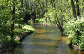 Fishing - Lainsitz - District II/1, © Stadtgemeinde Gmünd