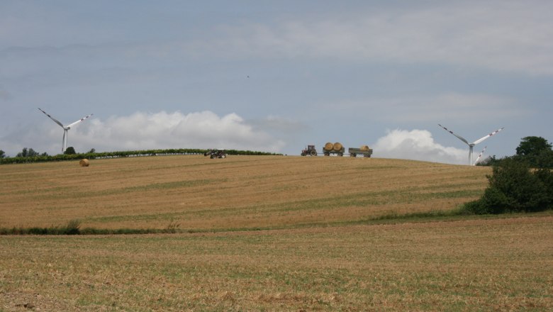 Sanfte Hügel laden zum Wander ein, © Gemeinde Kreuzstetten