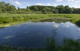 Lainsitz lowlands, © Matthias Schickhofer
