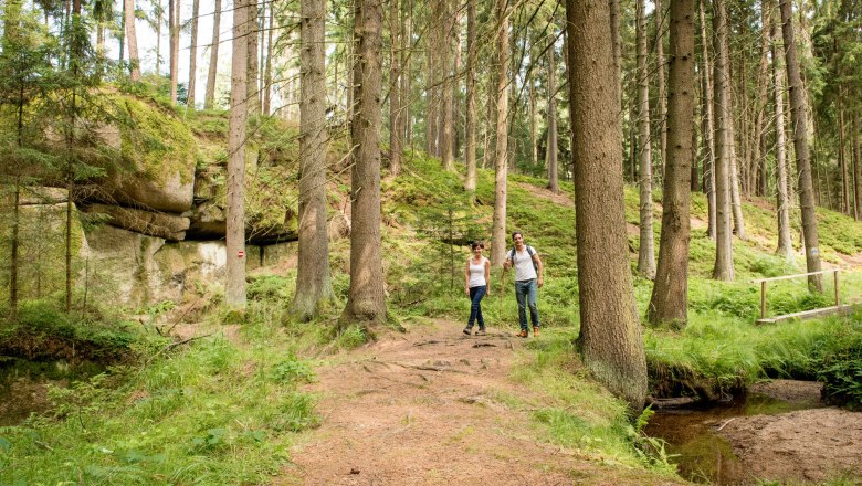 Höllgraben, © Waldviertel Tourismus, Studio Kerschbaum