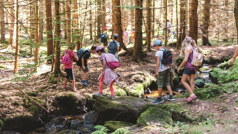 V&yacute;let na, &copy; Wunderwelt Wald, Fotograf Benjamin Wald