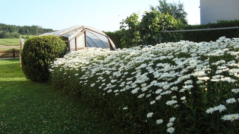 Greenhouse, &copy; Fam. Sommer-Leitner