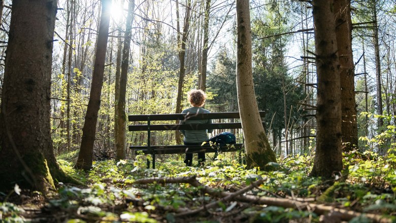 Na cestě v&scaron;&iacute;mavosti, &copy; Daniel Gollner