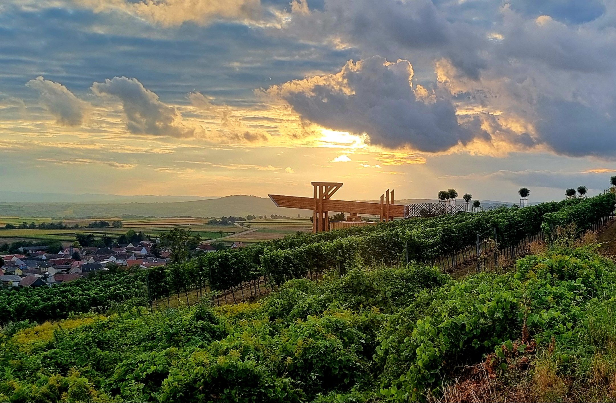 Vinice při západu slunce s moderní terasou v pozadí.