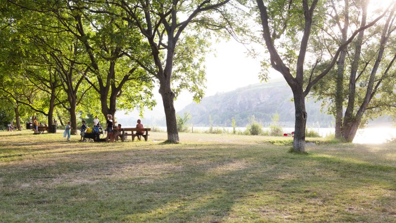 WNK_Donaustrand_Mautern(c)_Donau_Nieder&ouml;sterreich_Barbara_Elser, &copy; Donau N&Ouml; Tourismus_Barbara Elser