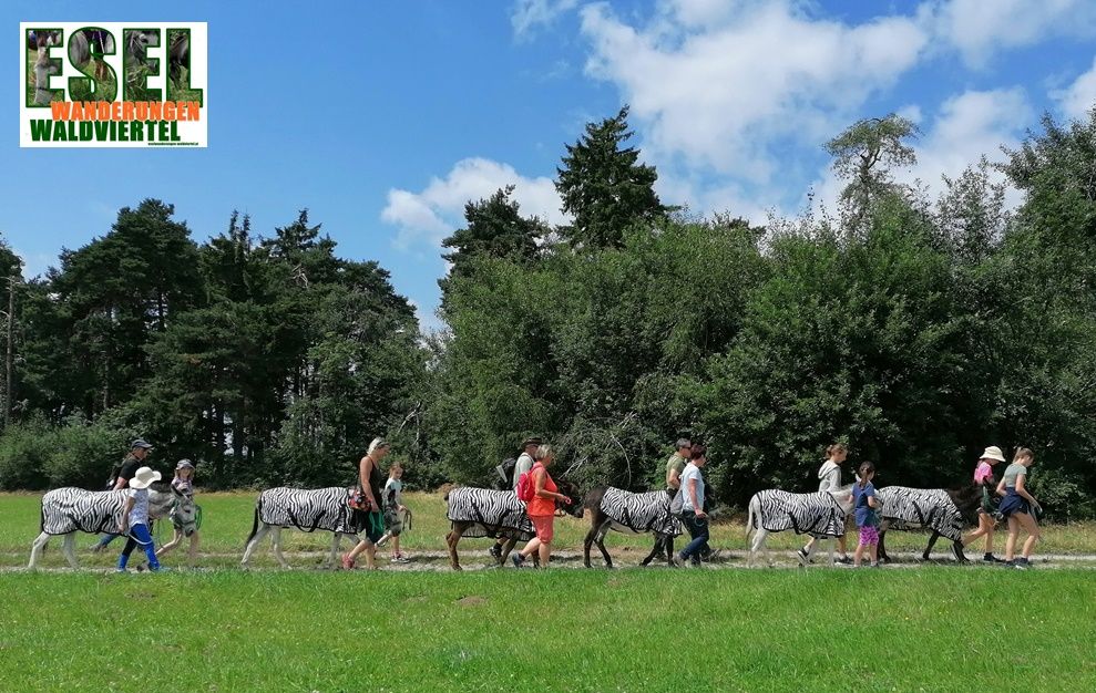 Trekking na oslu