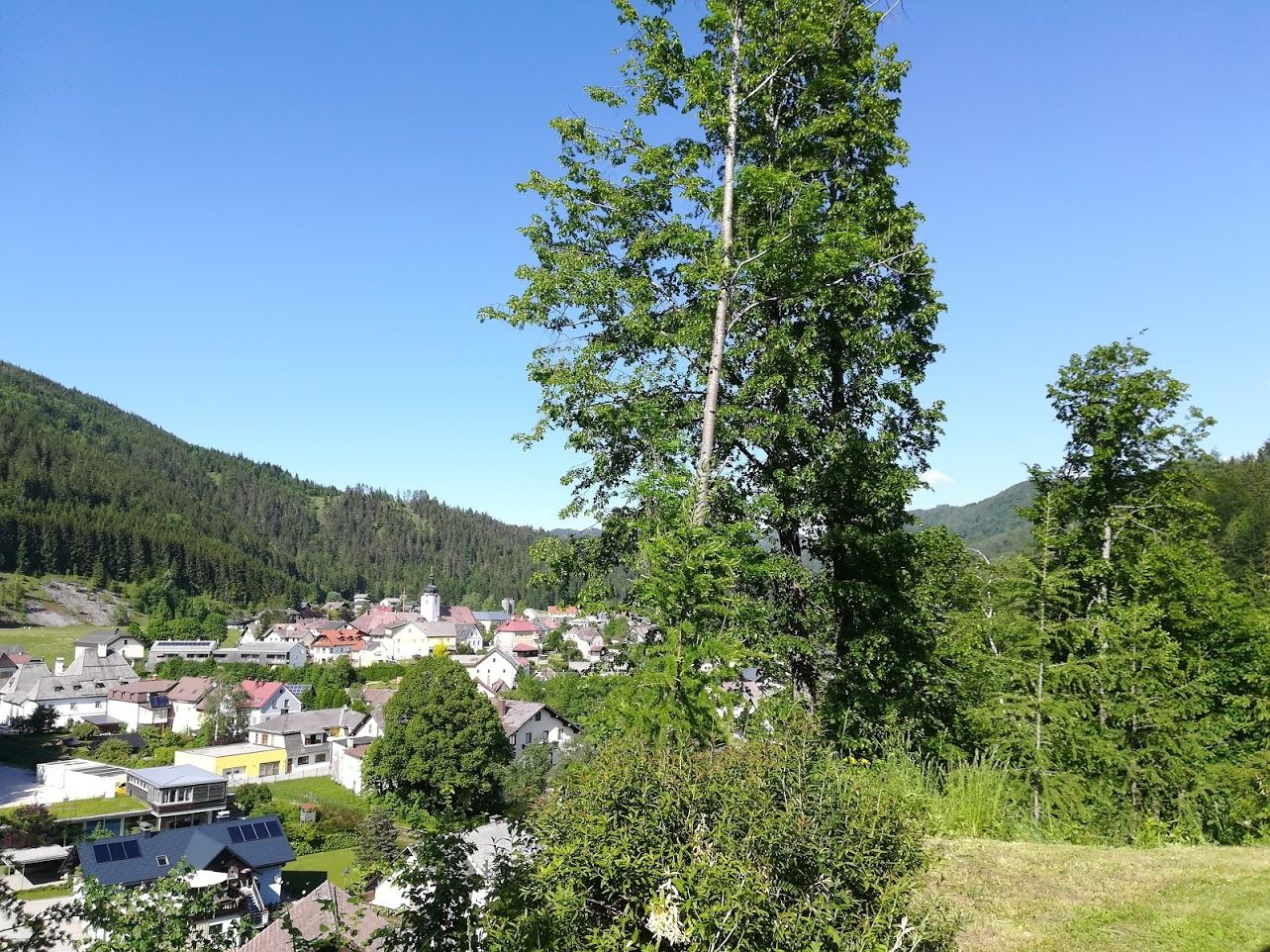 Pohled z domu