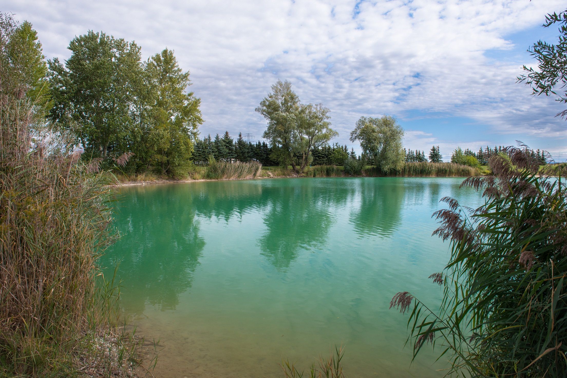 Klidné jezero s průzračnou, tyrkysově zbarvenou vodou, obklopené stromy a rákosím pod zataženou oblohou.