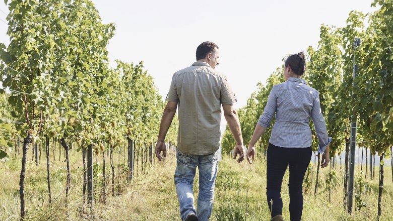 In the vineyard, © Zuschmann-Schöfmann