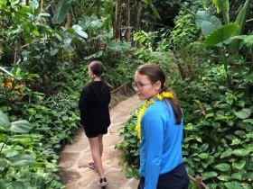 Na mot&yacute;l&iacute; safari světem mot&yacute;lů v Tattendorfu, &copy; Wienerwald Tourismus GmbH