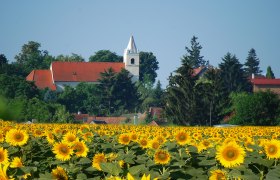 Ringelsdorf church, © Gemeinde Ringelsdorf-Niederabsdorf