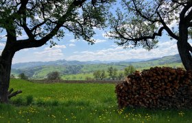 Blick auf die Landschaft vom Fröschlauweg, © Marktgemeinde Seitenstetten