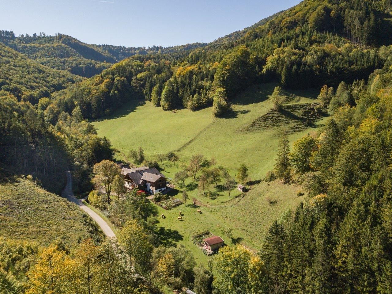 biofarm_lueg_uprostřed_lesa
