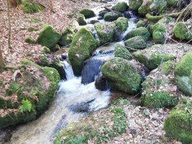 Bach Eckeraschweg, &copy; Marktgemeinde Bad Gro&szlig;pertholz